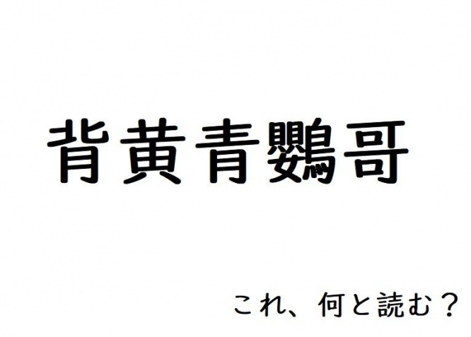 さて、何と読む？