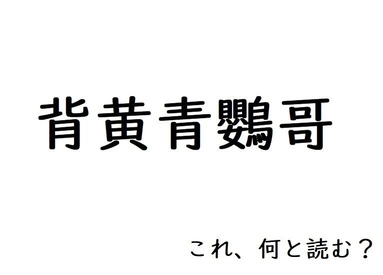 さて、何と読む？