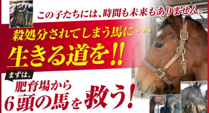 株式会社　馬事学院のプレスリリース画像