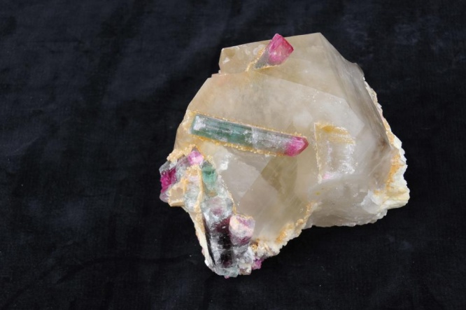 色とりどりなリチア電気石（画像は神奈川県立生命の星・地球博物館）