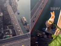 猫ちゃん逃げて～！と思ったらくつろいでた。超絶高所で下界を見下ろす猫（高所恐怖症注意）