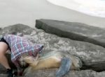 岩のくぼみにハマってしまった大きなウミガメを若い男女が救出！