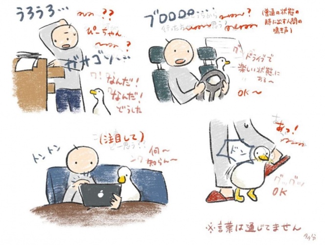 アオトウさんの投稿より