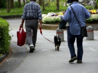 犬に甘く、他人に厳しいご夫婦...（画像はイメージ）