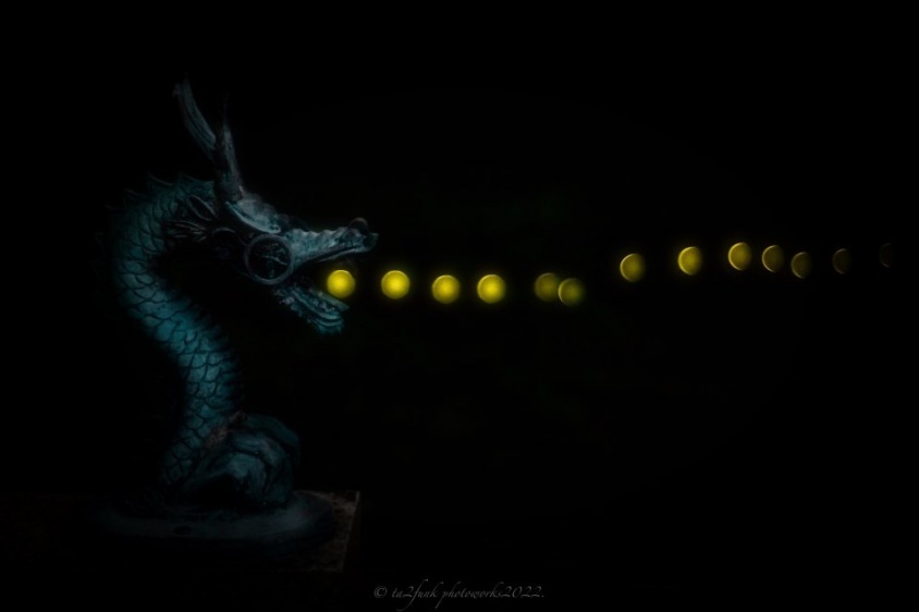 龍の口から光の玉が...！　ホタルが起こした「奇跡」捉えた幻想的一葉