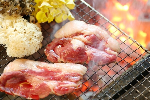 株式会社星野リゾートのプレスリリース画像