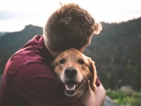 男性がペットを飼うと、動物に対する共感力が高まることが判明