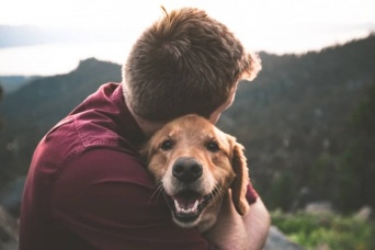 男性がペットを飼うと、動物に対する共感力が高まることが判明