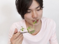 お前すげぇな！　男性が思う「彼女に作ってほしいヘルシー料理」4つ