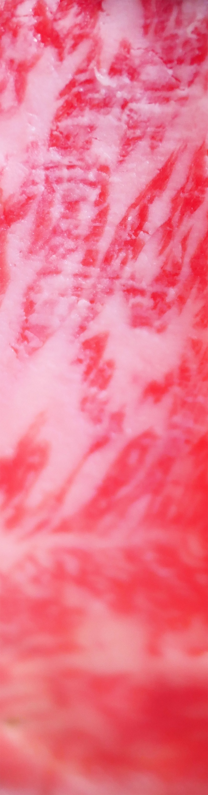 delicious-shabu-shabu5
