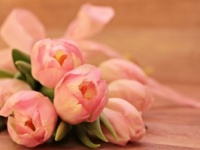 女性があこがれる「バラの花束を手にプロポーズ」、理想の本数とシチュエーションは？