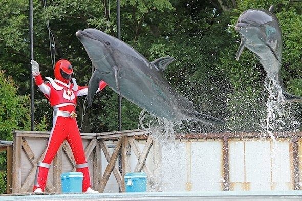 画像はプレスリリースより