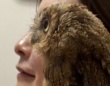 人間とフクロウの〝完全なる一体化〟に10万人驚がく　「重なりeye」「完璧じゃねぇかwww」