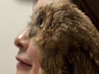 人間とフクロウの〝完全なる一体化〟に10万人驚がく　「重なりeye」「完璧じゃねぇかwww」