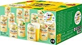 【限定セット】キリン 47都道府県の一番搾り 甲信越・東海・北部九州 詰め合わせセット 350ml×12本