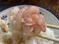 石川県産甘エビがたっぷり入ってこのお値段　刺身・丼・ガーリックシュリンプに...300円で大満足