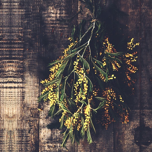 カイト株式会社のプレスリリース画像