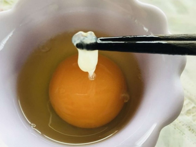 無理に食べなくても良いみたい（画像はイメージ）