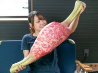 回復に使う？罠に使う？モンハン名物、生肉とこんがり肉が実寸大の枕になって販売決定