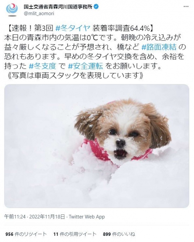 パピコの写真が伝えたいのは「スタックしてこうならないように!」というメッセージ(画像は国土交通省青森河川国道事務所@mlit_aomoriによる22年11月18日のツイート、編集部でキャプチャ)