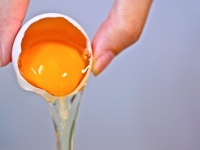 卵は洗っちゃダメって本当？ 洗卵が菌を増やす理由