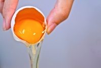 卵は洗っちゃダメって本当？ 洗卵が菌を増やす理由