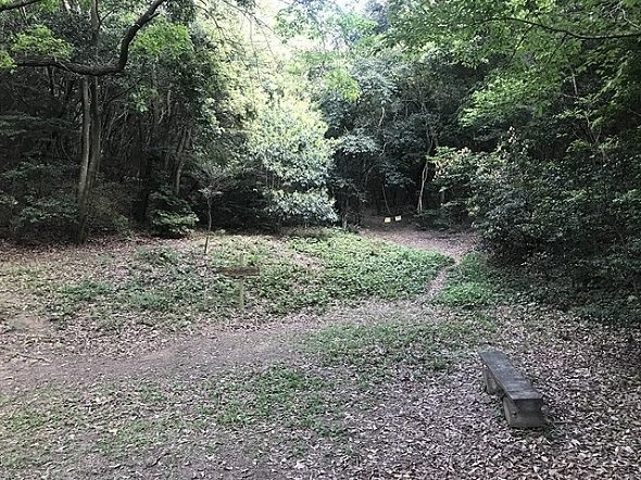 篠栗九大の森・こなら広場（そらみみさん撮影、Wikimedia Commonsより）