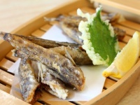 深海魚グルメの定番？メヒカリの唐揚げ
