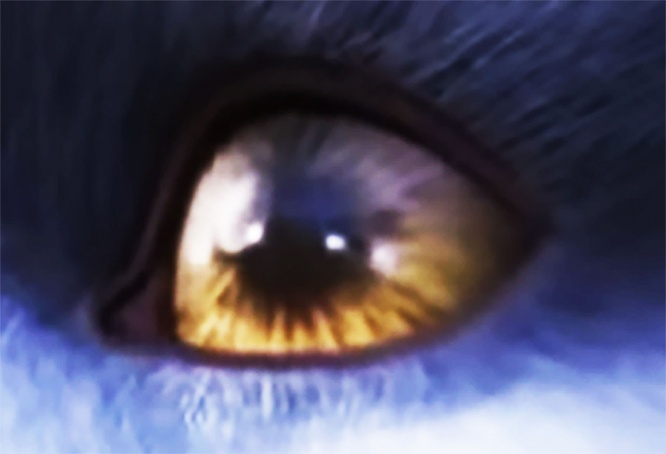 final-fantasy-xvi-awakening14