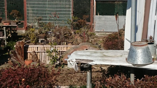 本当に猫がいます（写真はめいさんのツイートより）