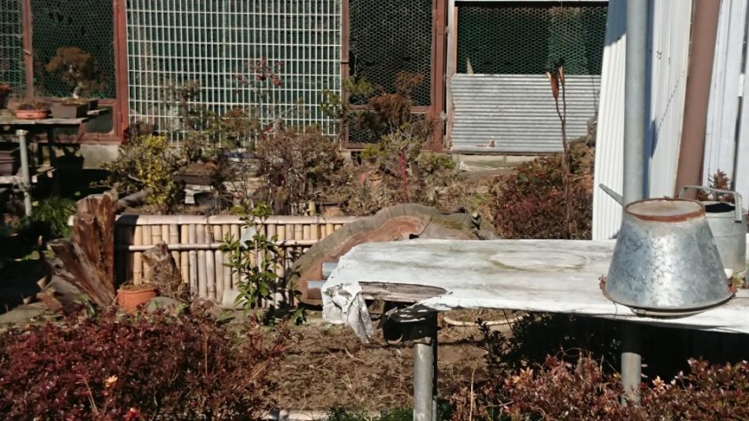 本当に猫がいます（写真はめいさんのツイートより）