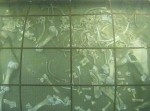 海底に沈んだ体が見えなくなるまでにかかる時間は？→わずか４日間で白骨