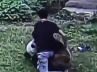 リアル異種格闘技！？　ある男性がパンダにちょっかいを出すと思いもよらぬ展開に・・・