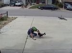 家族のように仲良しな、片目を失くした猫と近所の少年の姿に心洗われる。