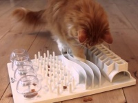 飼い猫の健康に良いのは、自分で餌を探して取る「フードパズル」が効果的（米研究）