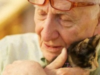 やさしい世界。子猫と出会ったおじいさんの写真に関する海外の反応