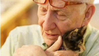 やさしい世界。子猫と出会ったおじいさんの写真に関する海外の反応