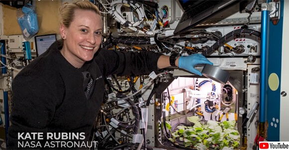 スクリーンショット-(2897)