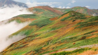 寝そべったら心地よさそう！　一面にカーペット敷いたみたいな「東北の紅葉」がすばらしい