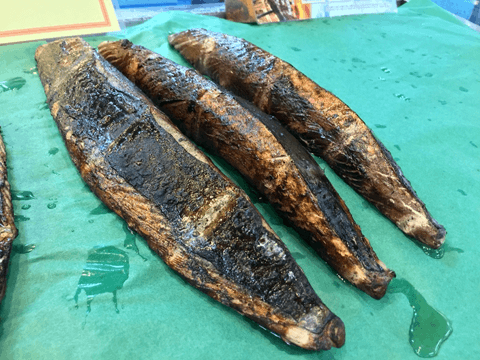 かつお、カツオ、鰹！　高知県の食事で迷ったら、ここへ行っておけば美味しい鰹にありつける!!#8