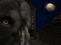 満月の夜に犯罪が増えるのは本当なのか？犯罪学者が考察した「満月と犯罪」の関係性