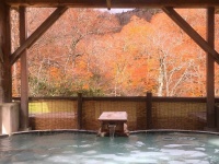 美しい紅葉を見ながら入る混浴露天