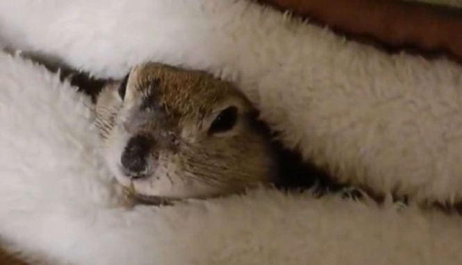 たかすぎS（＠takasugis）さんの投稿より