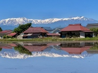 「ふとお家に帰りたくなる」「美しい会津」　地元民が発見した福島県の〝今だけのエグい絶景〟