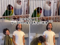 うますぎワロた。インコ2羽の真似をするカップルが面白すぎて200万回再生を突破