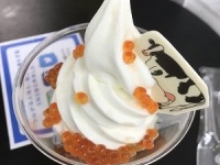 こんなビジュアルです（以下、10月4日撮影）