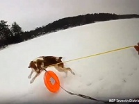 氷に落ちた飼い主を助けるため、警察官に協力して見事救い出すことに成功した犬