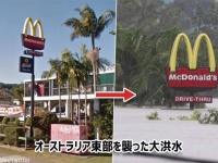 一方オーストラリアでは、観測史上最悪の大洪水で人も動物も大変な事態に