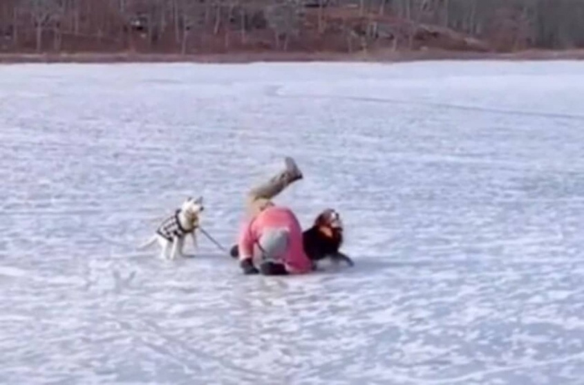 「ご主人～！」と氷の上を駆け寄った愛犬、滑って転んで飼い主の足に見事なタックルをしかけてしまう