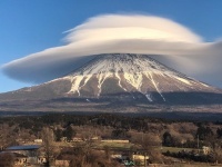橋向 真さんのツイートより